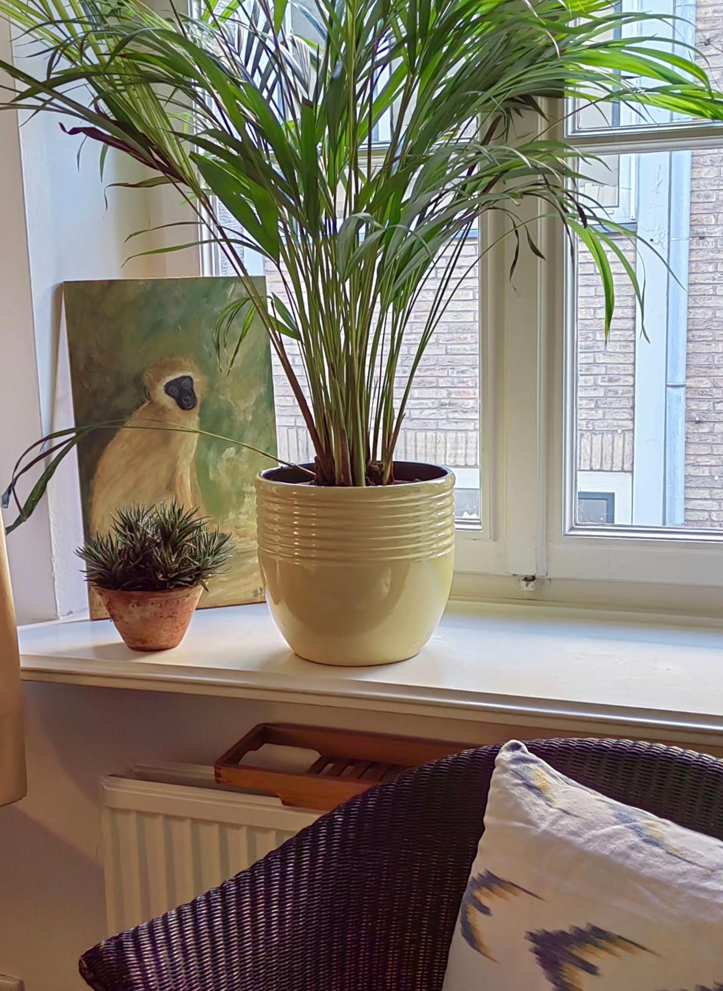 Epic Location Appartement *